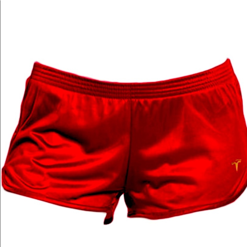 Brand New never opened Tesla Short Shorts